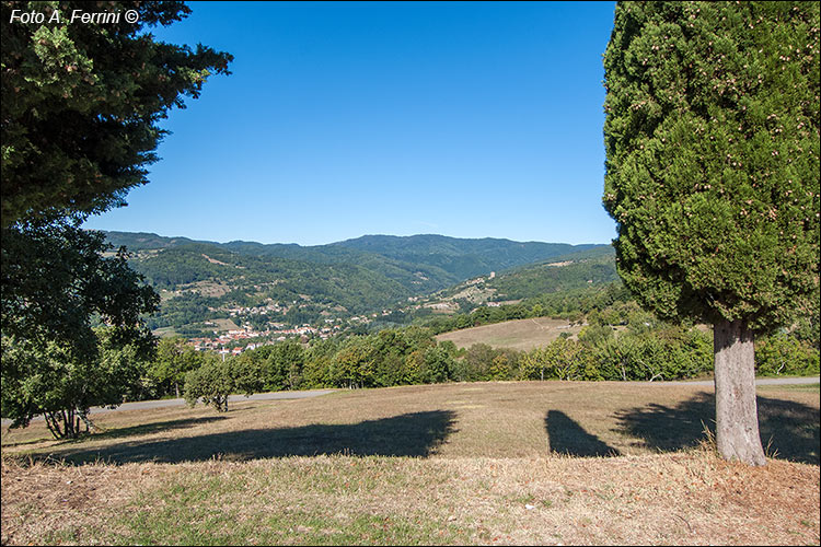 Pratovecchio Stia, territorio comunale