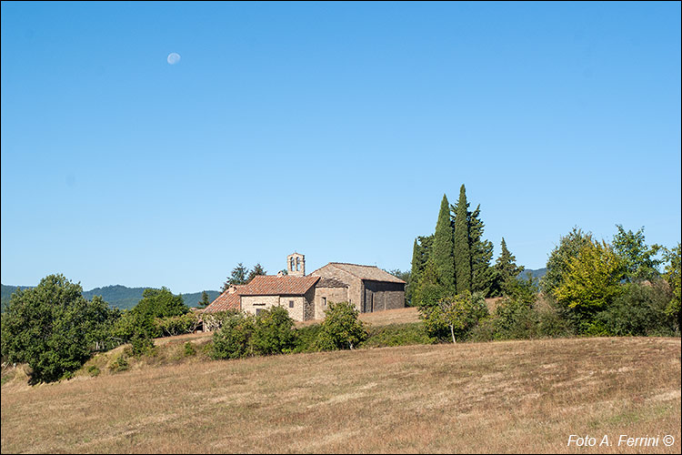 Pratovecchio Stia, territorio comunale