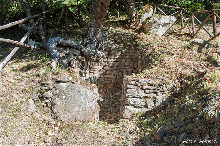 Pratovecchio Stia, territorio comunale