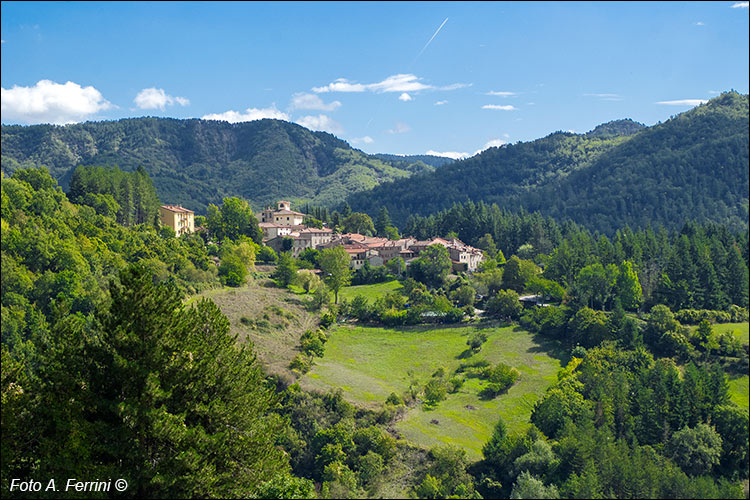 Pratovecchio Stia, territorio comunale