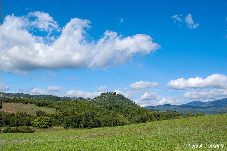 Pratovecchio Stia, territorio comunale