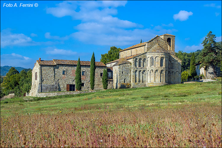 Pratovecchio Stia, territorio comunale