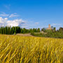 Pratovecchio Stia, territorio comunale