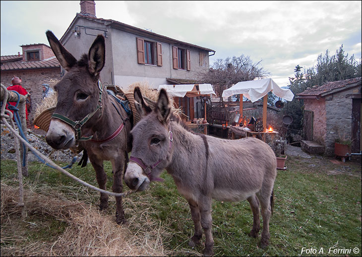 Presepe vivente Gressa