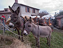 Presepe vivente Gressa
