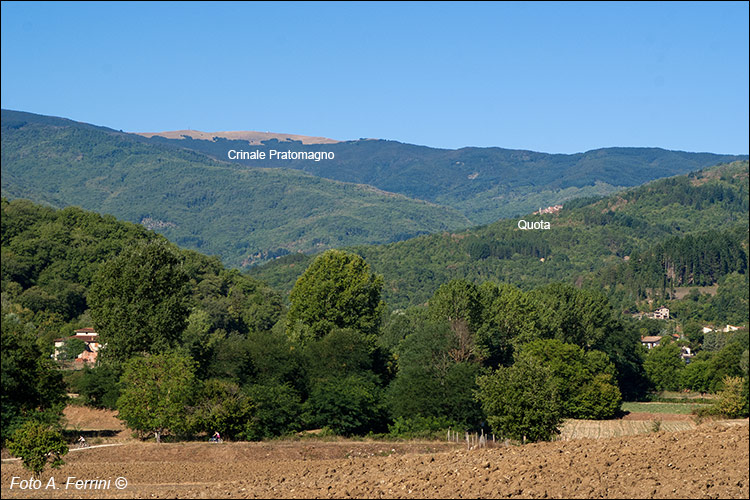 Valle del Teggina