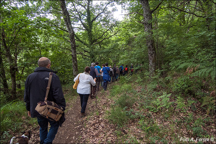 Passeggiata Quota Raggiolo