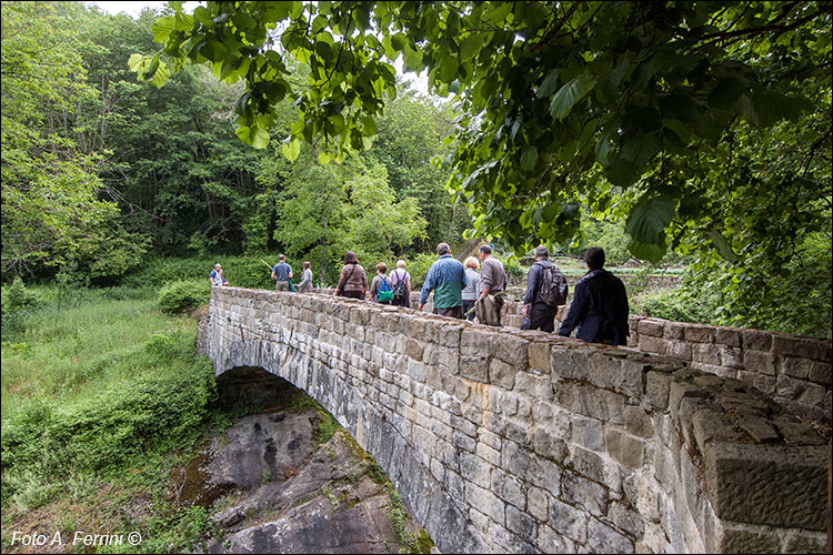 Ponte dell'Usciolino