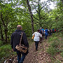 Passeggiata Quota Raggiolo