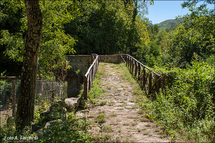 Torrente Teggina