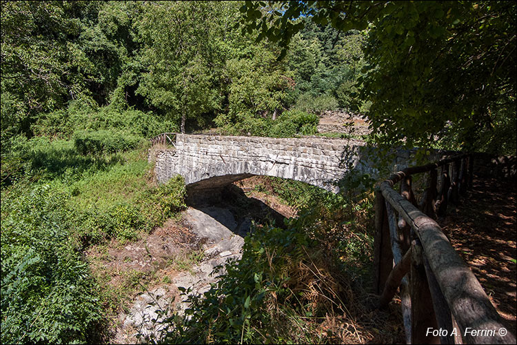 Ponte Usciolino, Raggiolo