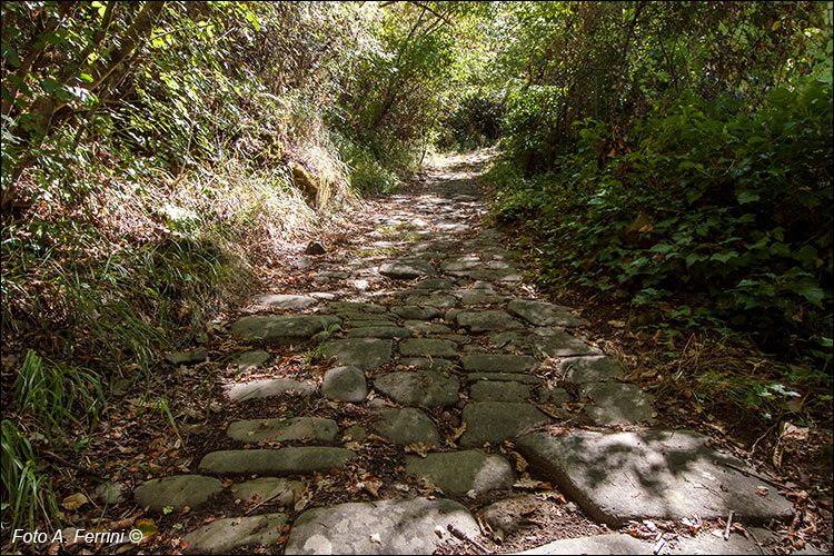 Strada Raggiolo Quota