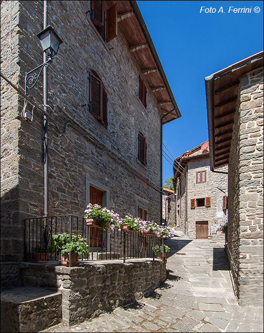 Borghi di Raggiolo