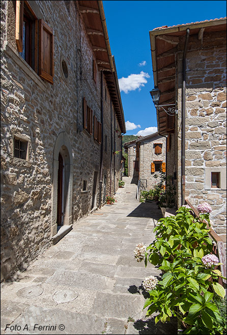 Borghi di Raggiolo