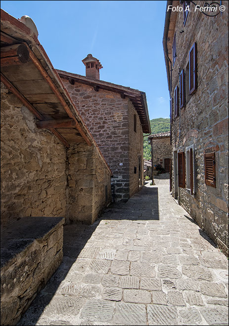 Borghi di Raggiolo