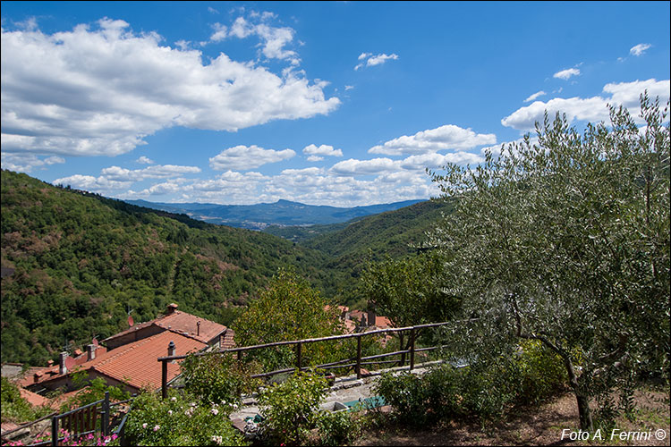 Panorama da Raggiolo