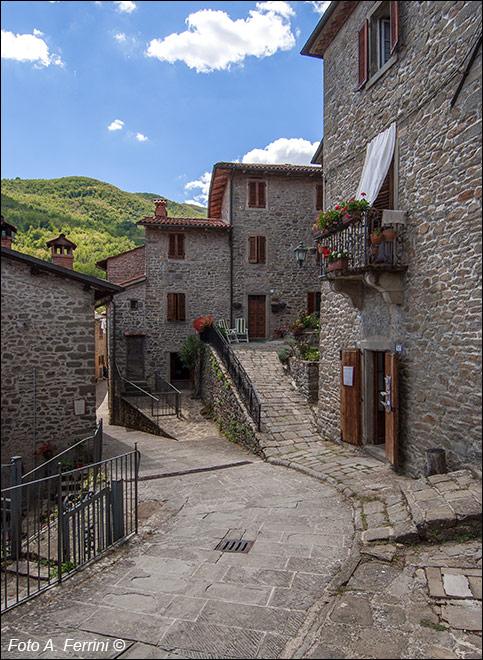 Borghi di Raggiolo