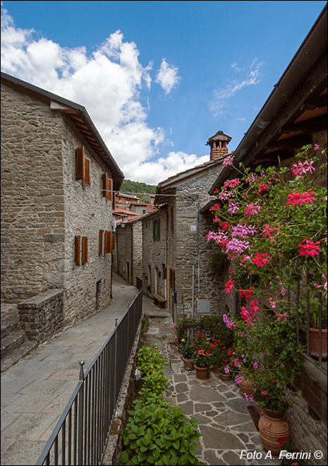 Borghi di Raggiolo