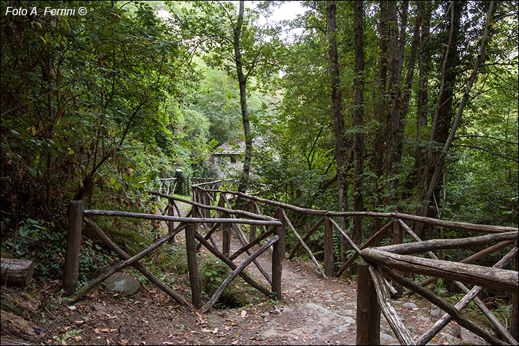 Passeggiate a Raggiolo