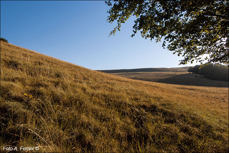 Pratomagno, paesaggio