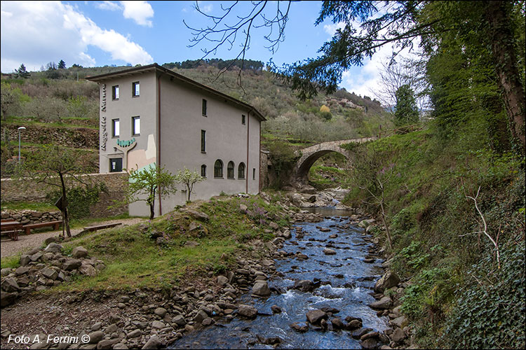 Reggello
