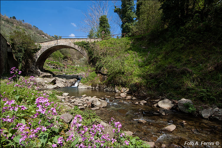 Reggello