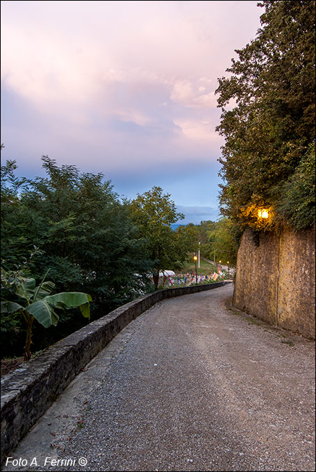 Rondine Cittadella della Pace