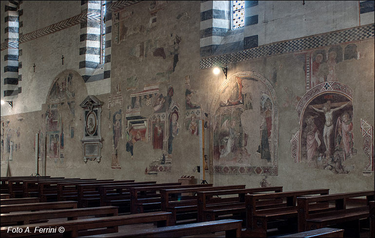 Chiesa di San Domenico, l'arte