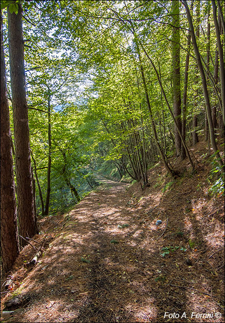 Strada verso il vecchio ponte