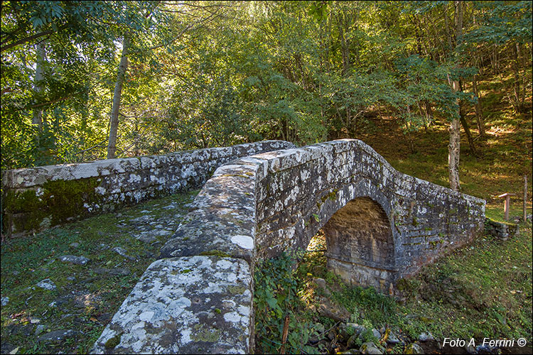 Il ponte di Serravalle