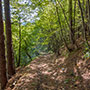 Strada verso il vecchio ponte