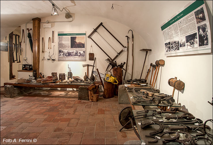 Stia, Museo del Bosco e della Montagna