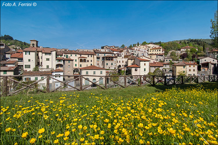 Stia dal Palagio Fiorentino