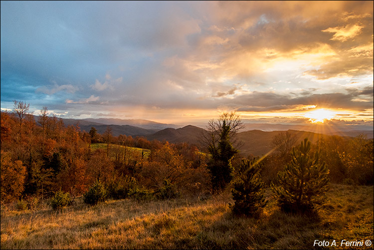 Tramonto dall'Alpe di Catenaia