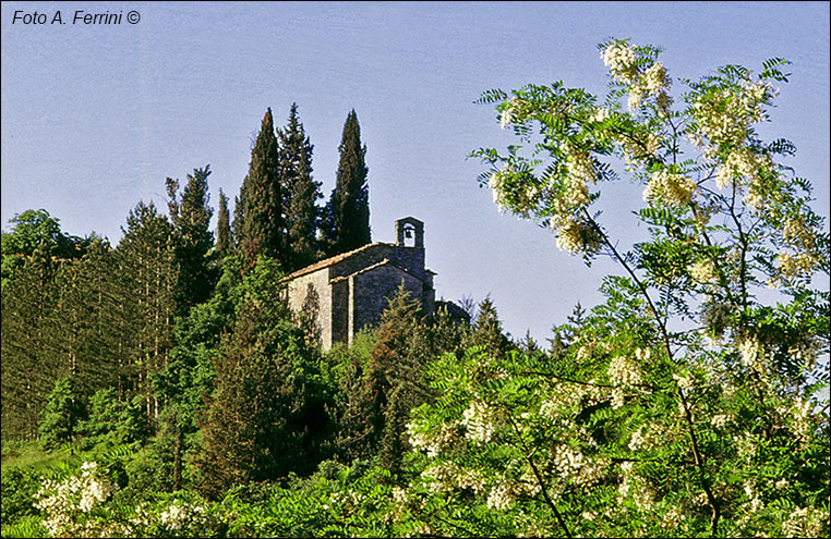 Chiesa della Castellaccia, Talla