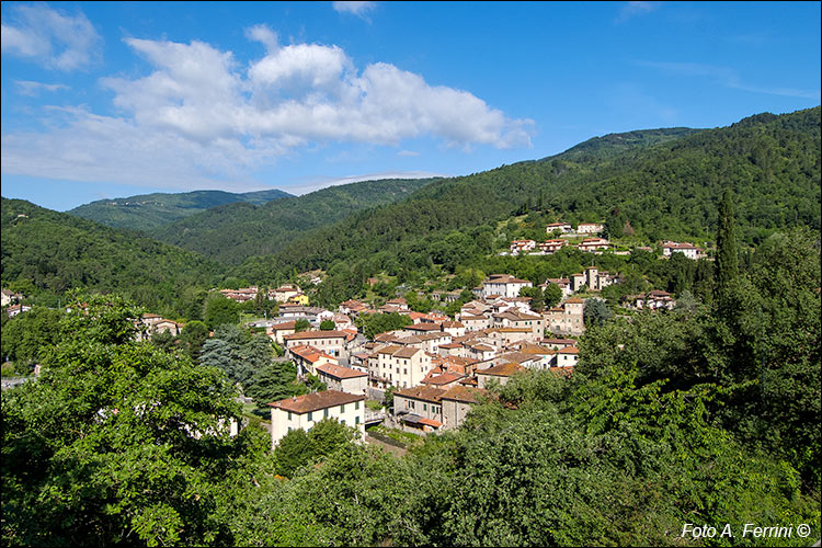 Talla, panorama