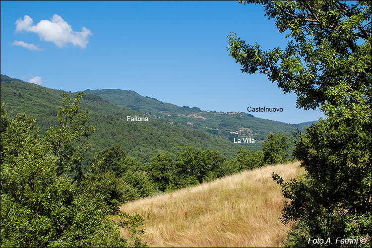 Faltona e il suo territorio