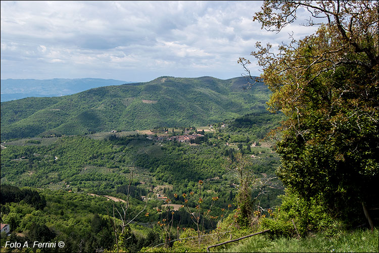 Trappola