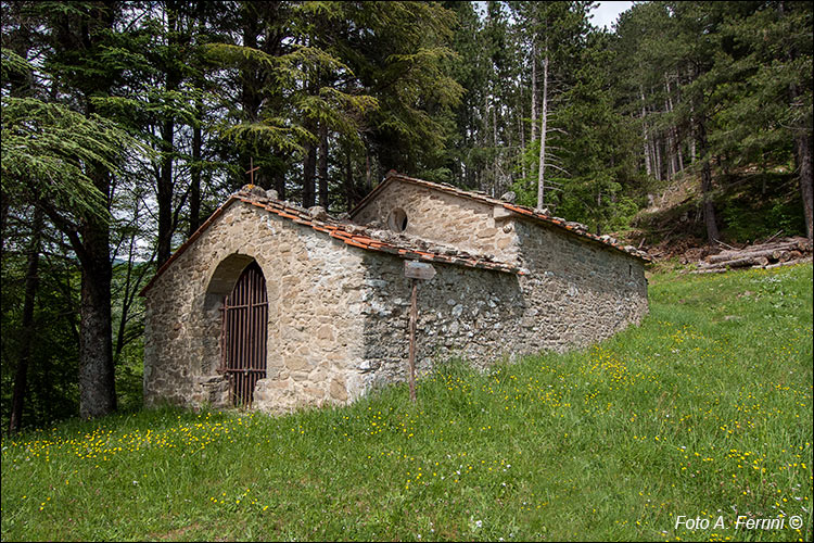 Trappola