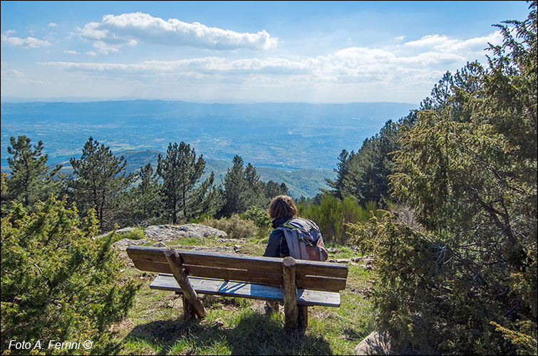 Panorama sul Valdarno