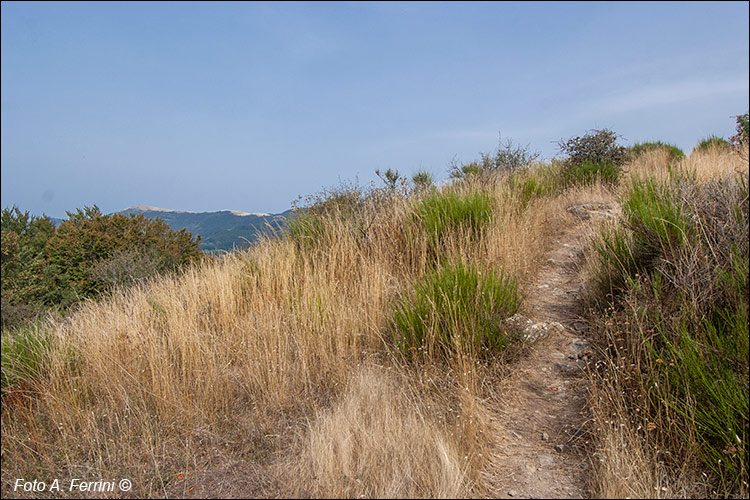 Panorama sul Pratomagno