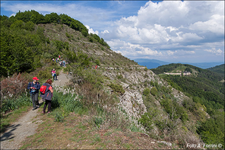 Sentiero CAI 49