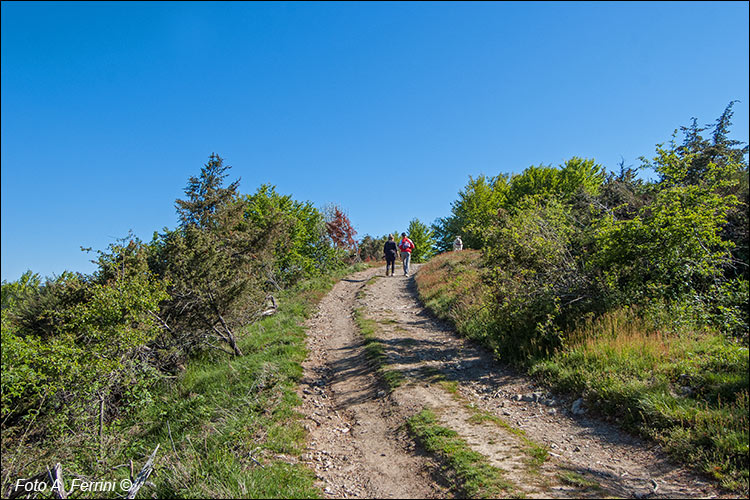 CAI 00 su Monte Lori