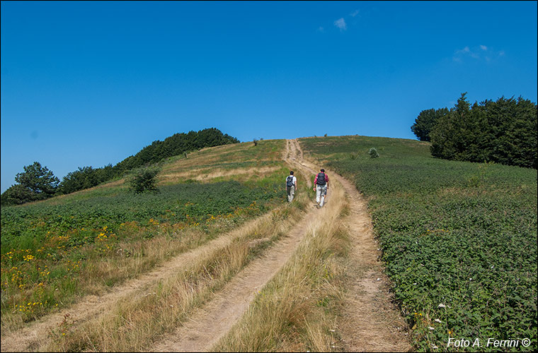 Verso la Cima Bottigliana