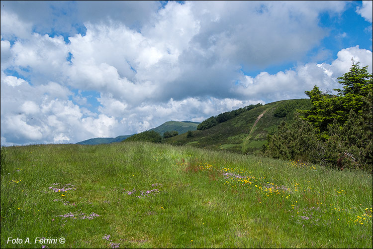 Cima Bottigliana