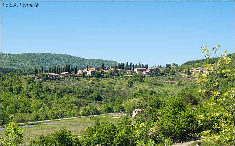 Poggio d’Acona