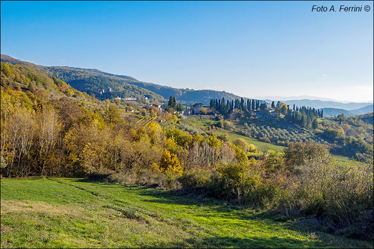 Poggio d’Acona
