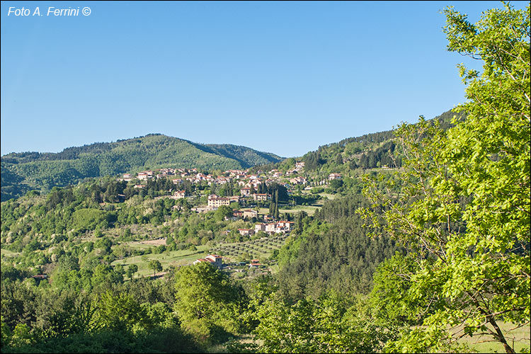 Chitignano, panorama
