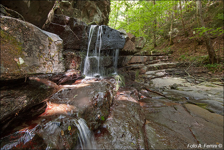 Fosso dei Bruciati, Vallombrosa