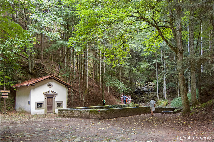 Fosso dei Bruciati, Vallombrosa